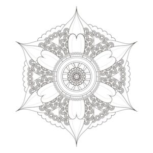 exquisite mandala pattern design black white 281653 727 -