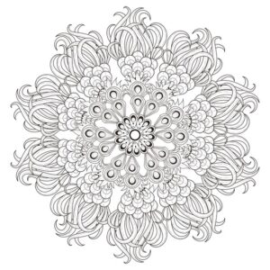 exquisite mandala pattern design black white 281653 758 -