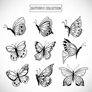 hand draw collection pretty butterflies design 1035 19572 -