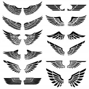 set wings white background elements logo label emblem sign badge illustration 124137 797 -